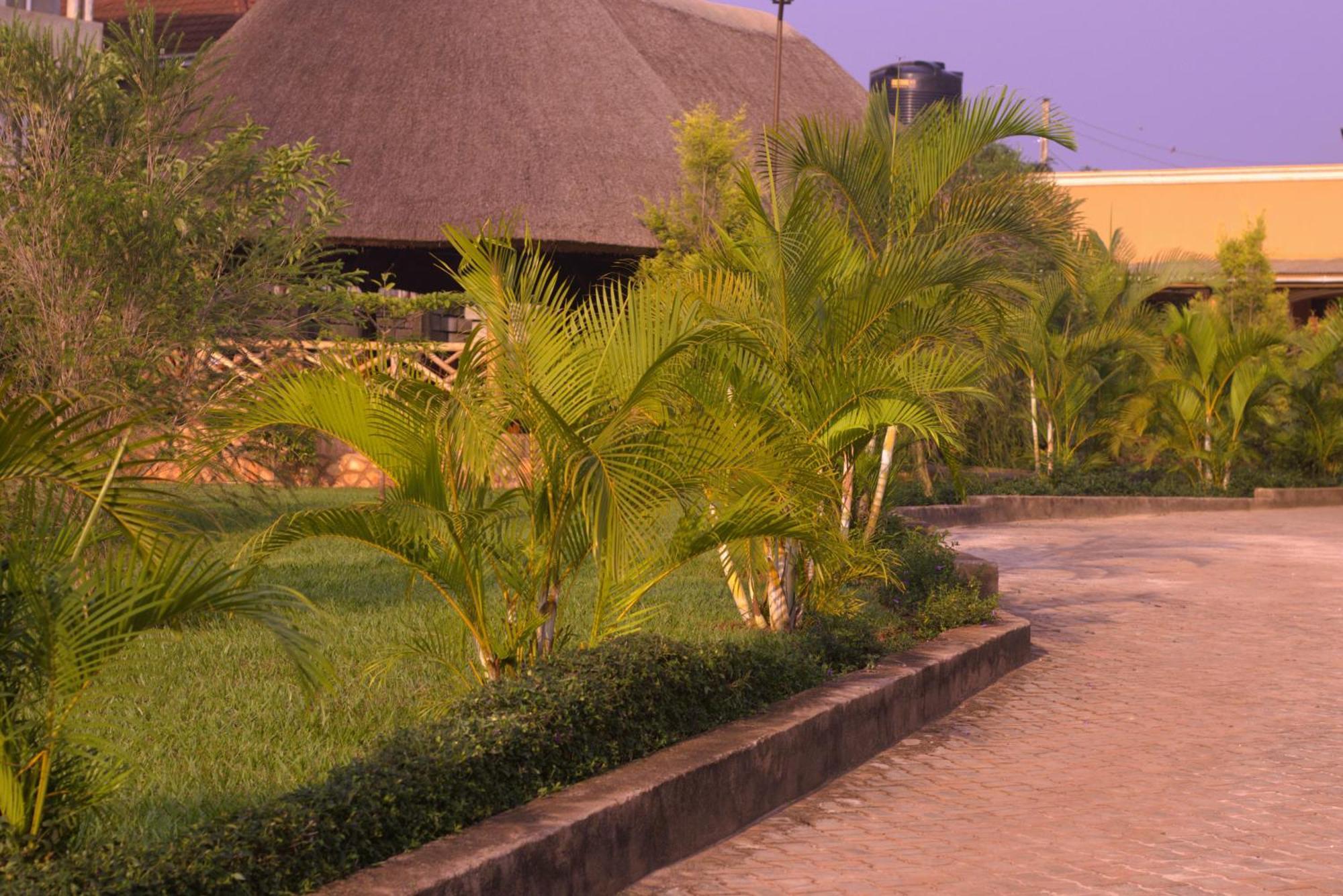 African Roots Guesthouse Entebbe Dış mekan fotoğraf