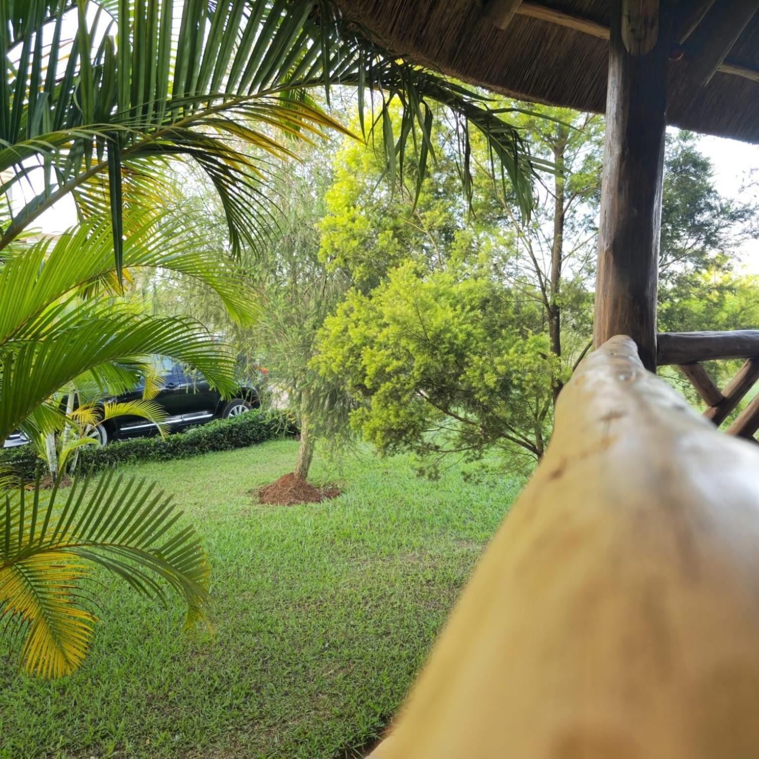 African Roots Guesthouse Entebbe Dış mekan fotoğraf